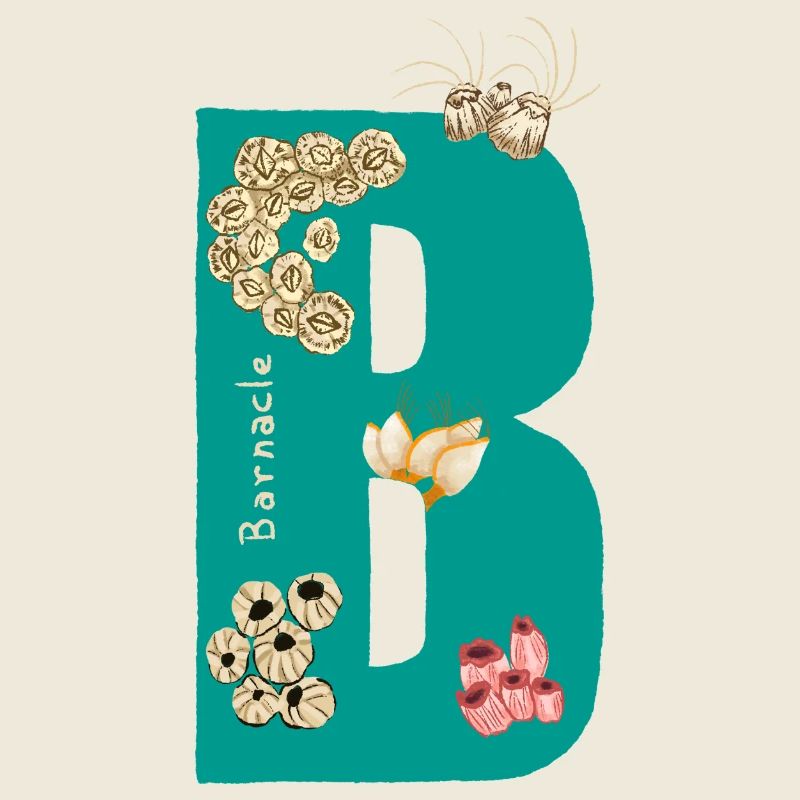 Letter B with Natural Elements Blue Green