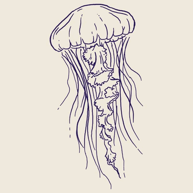 Illustration d’art au trait de méduse