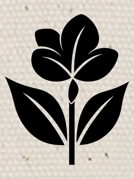 Blume