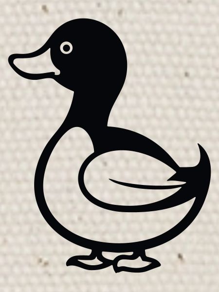 Canard