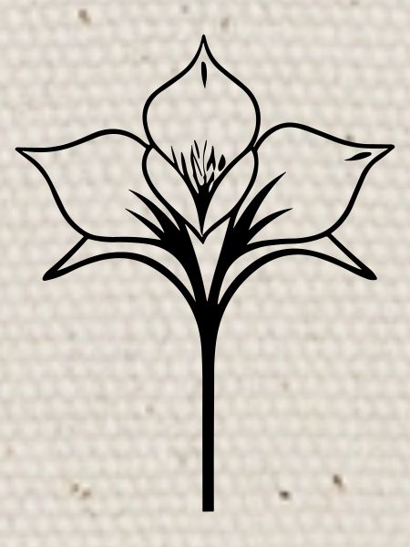 fleur