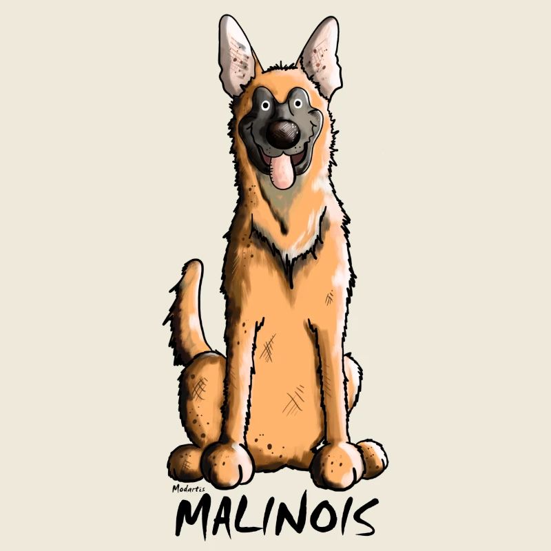 Lustiger Malinois