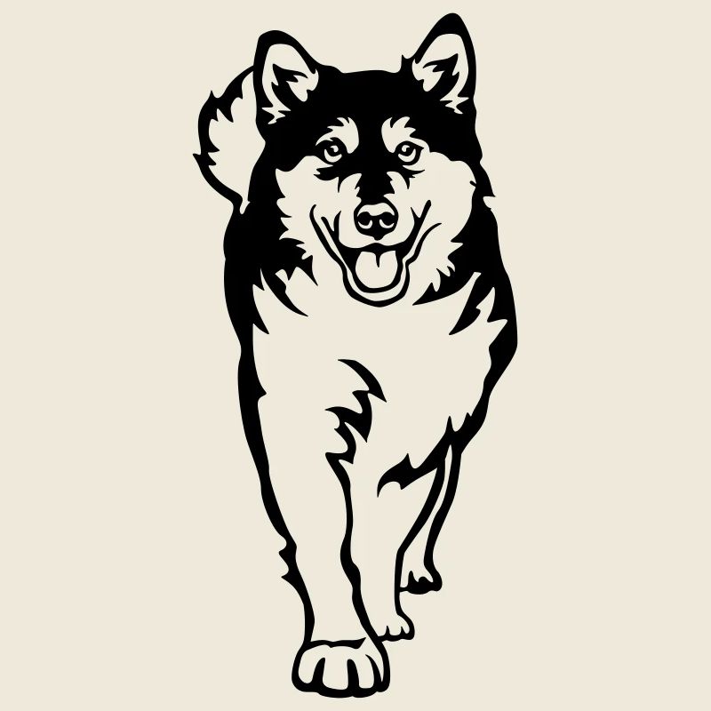 Alaskan Malamute