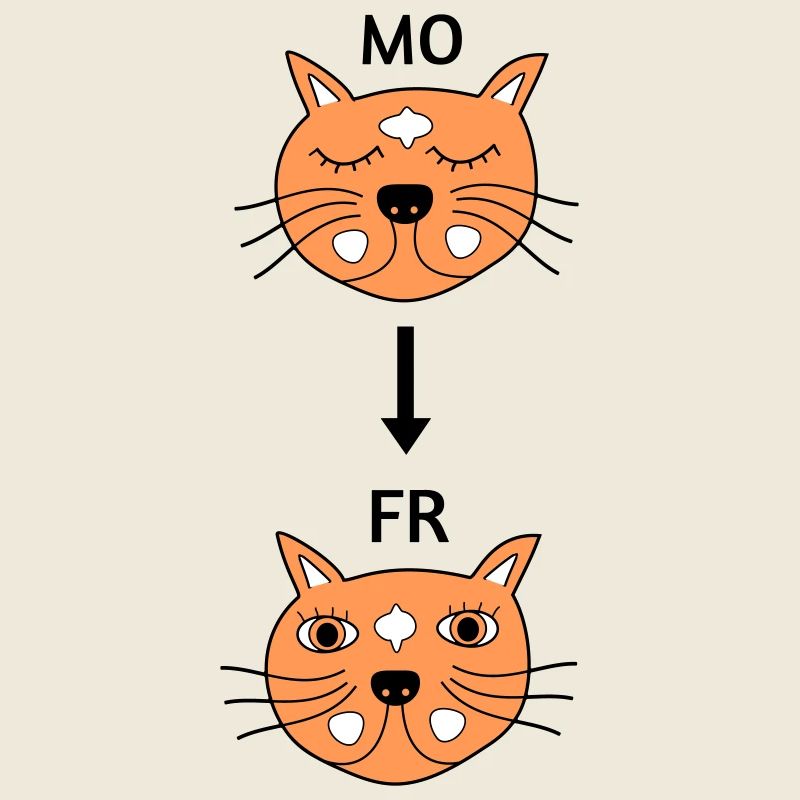 Montags bis Freitags