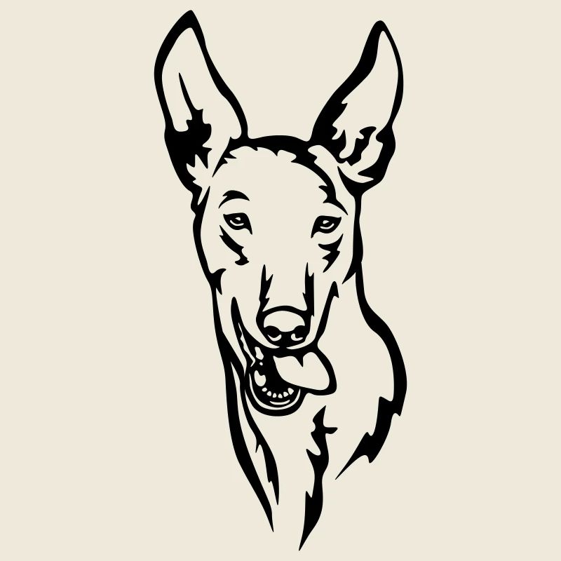 Podenco Head