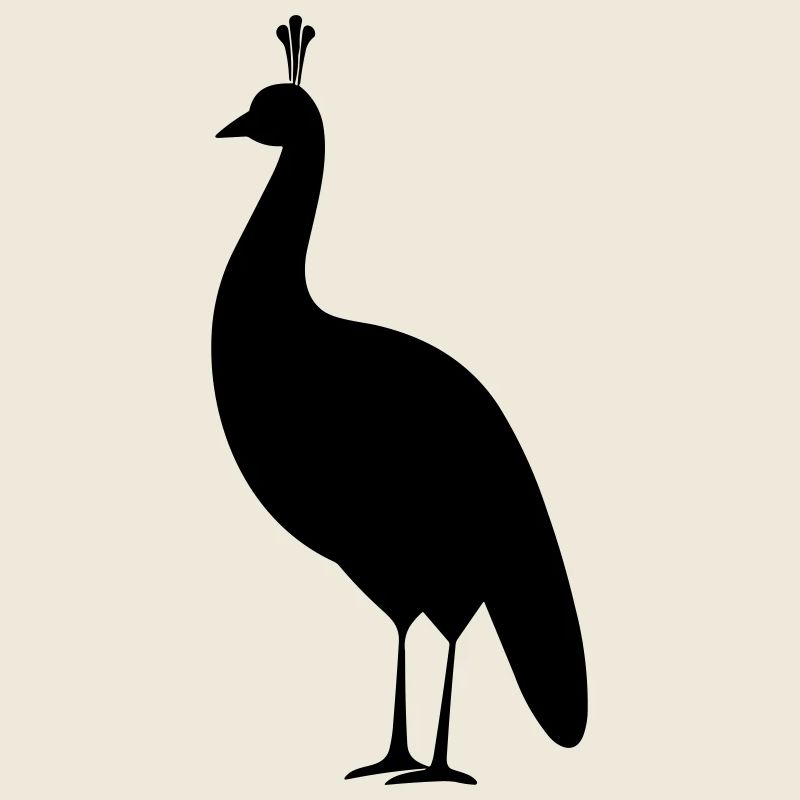 Kleiner Pfau