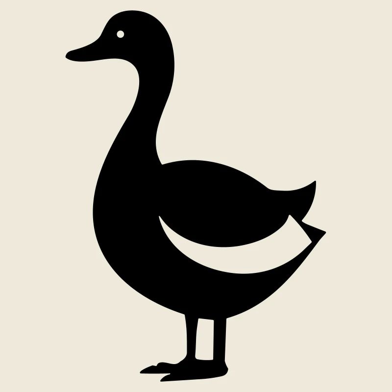 Canard