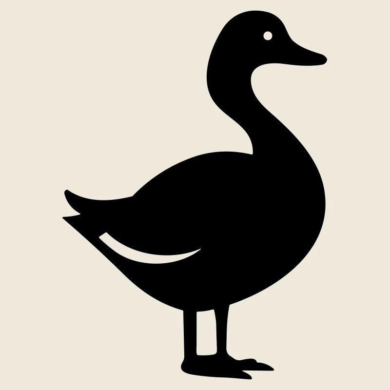 Canard