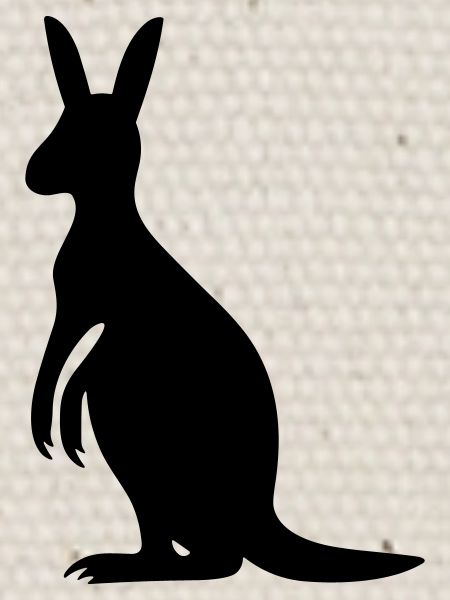 kangaroo
