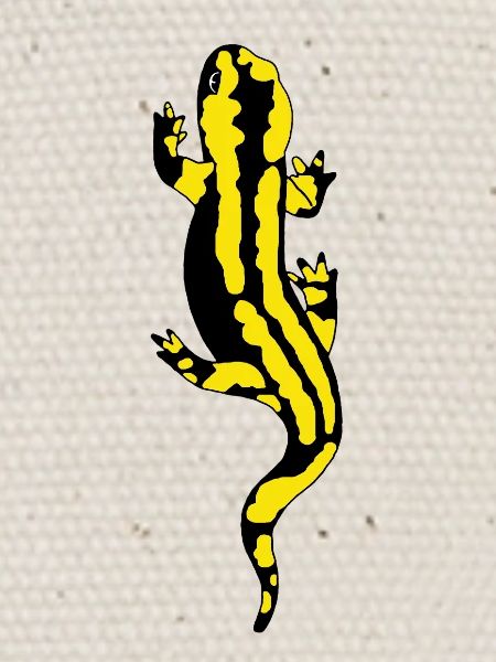 salamander