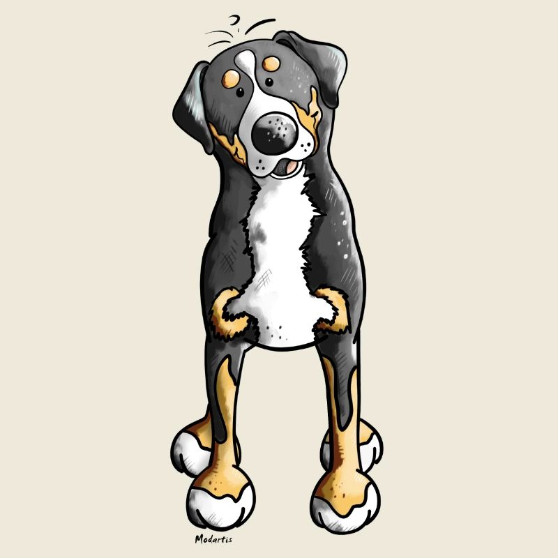 Witziger Schweizer Sennenhund