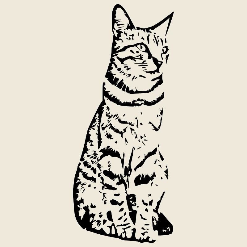 Katze schwarz