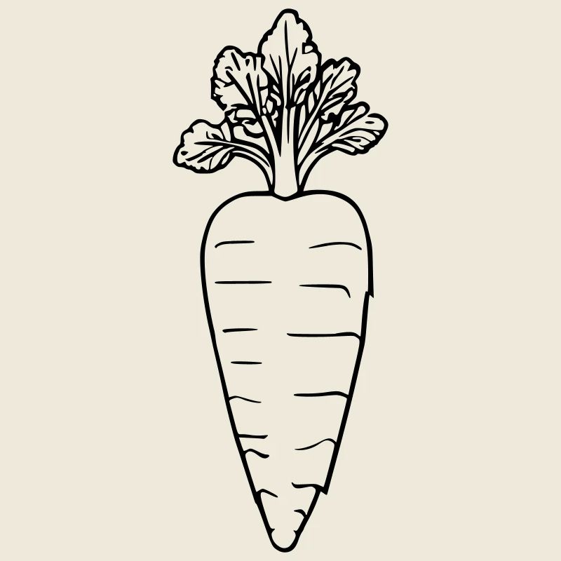 Outline carrot