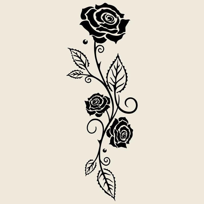 Rose Rose Rose Vigne