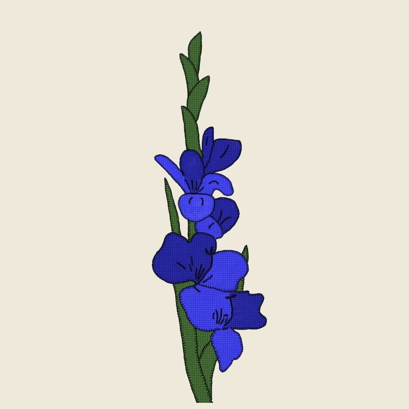 Gladiole blau