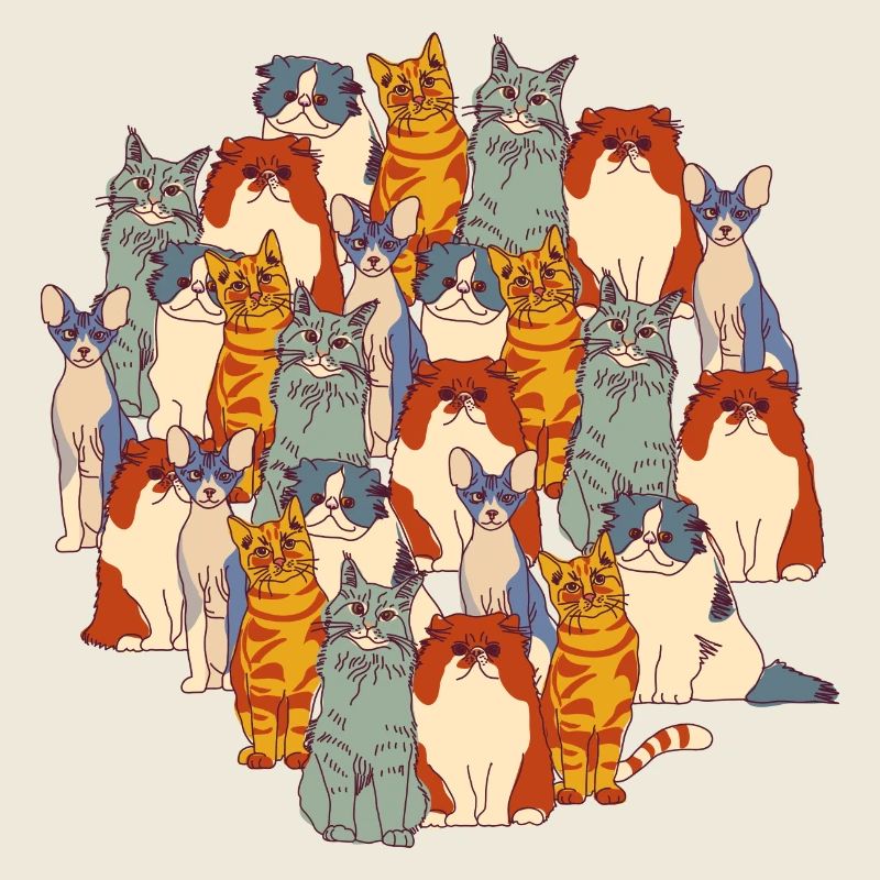 Katzen
