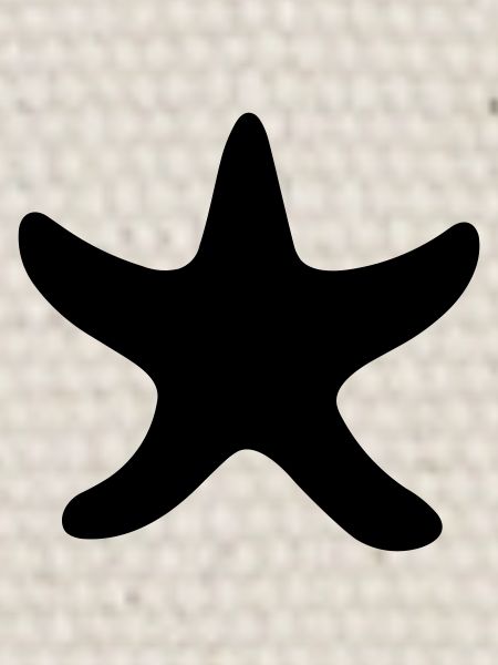 Seestern