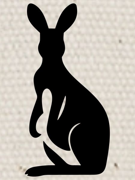 kangaroo