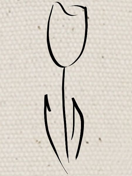 Tulipe