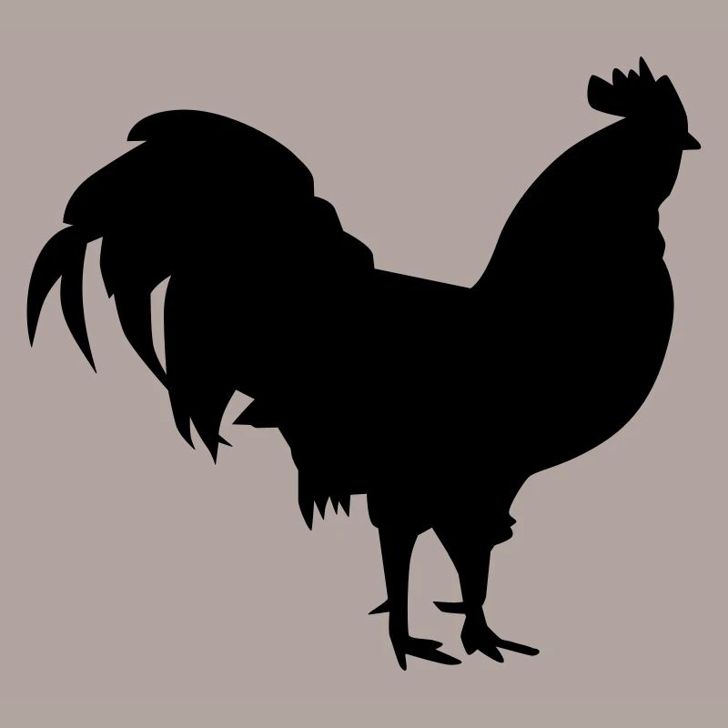 Gallo