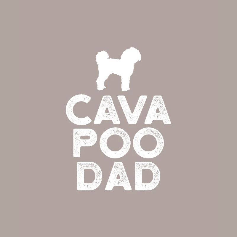 Cavapoo Papa