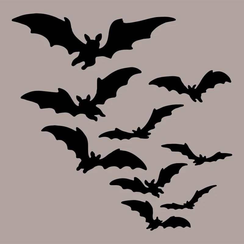fledermaus