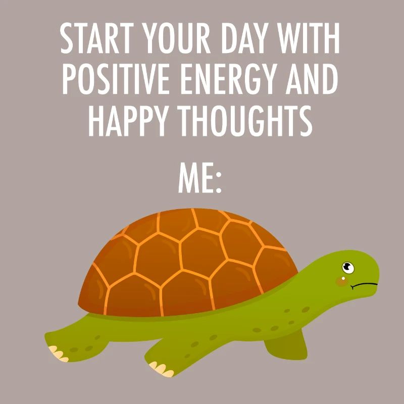 Beginnen Sie Ihren Tag mit positiver Energie Grumpy Turtle
