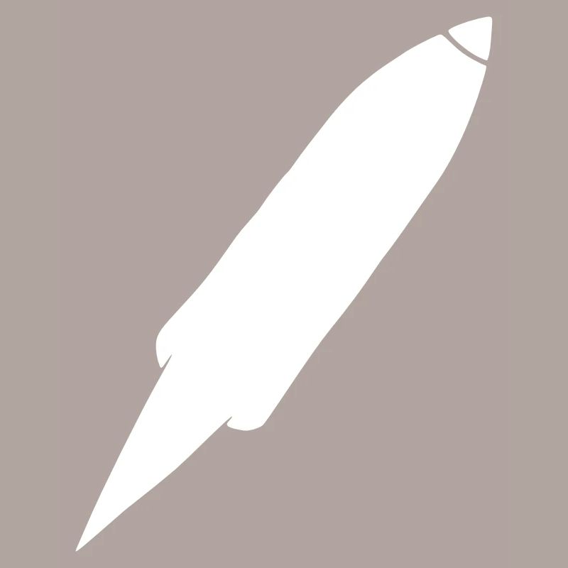 Vecteur de vol spatial spatial de fusée spatiale