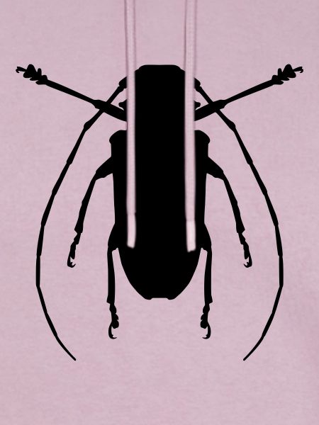 Käfer