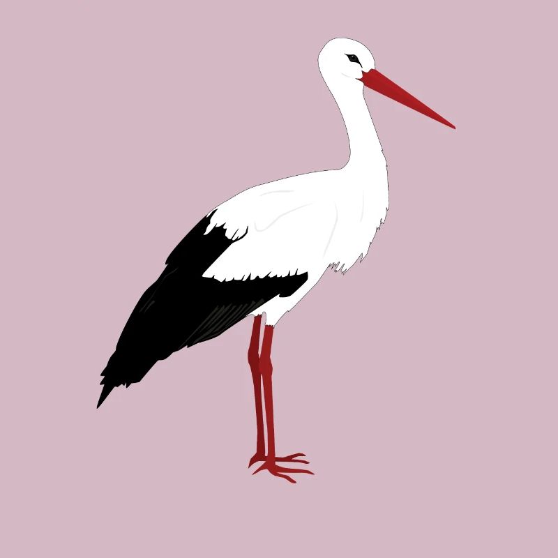Storch steht