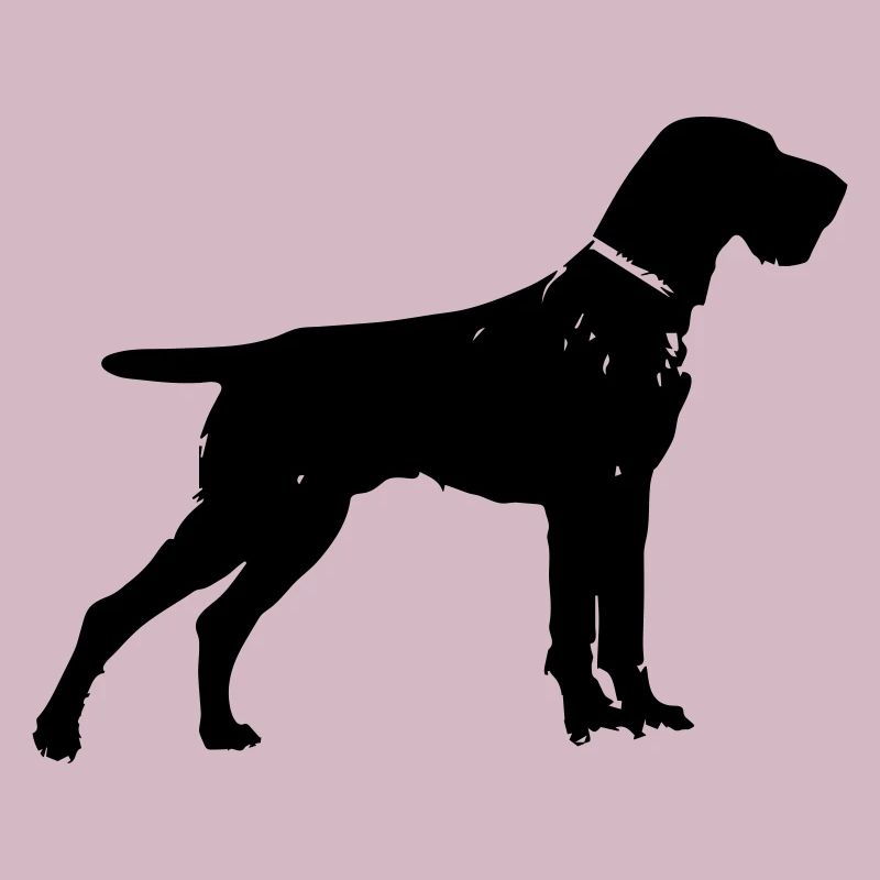 German Wirehaired Pointer