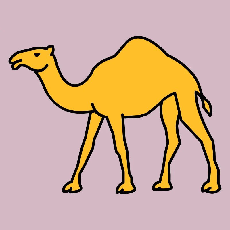 kamel_02