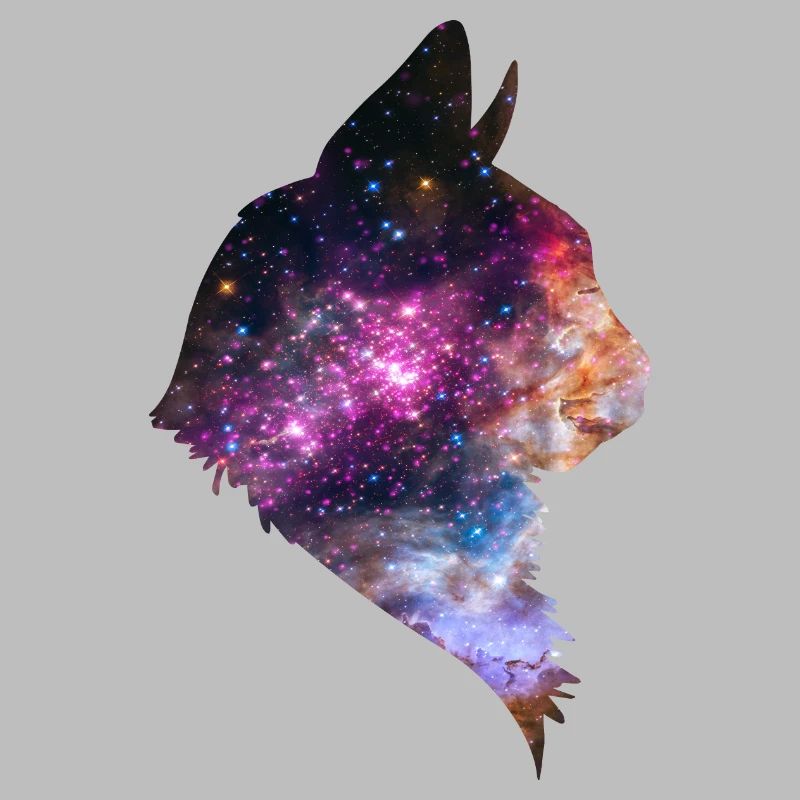 Espace chat espace chat
