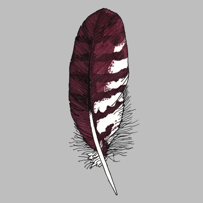 Small feather brown hand-drawn (buzzard)
