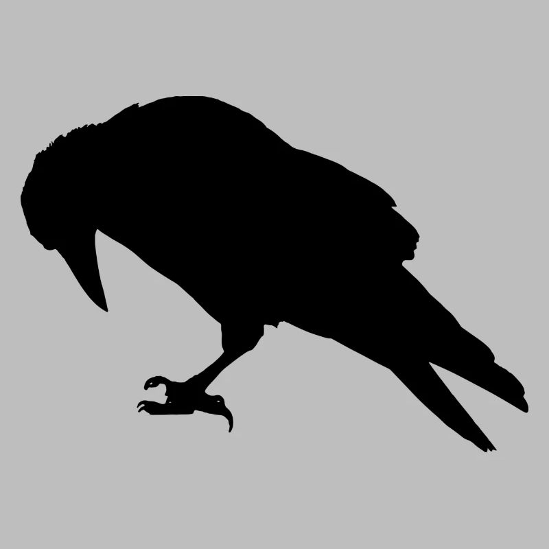 Expandables Crow / Krähe / Raabe sitzend
