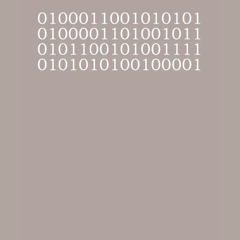 Binary code (FUCK YOU!)