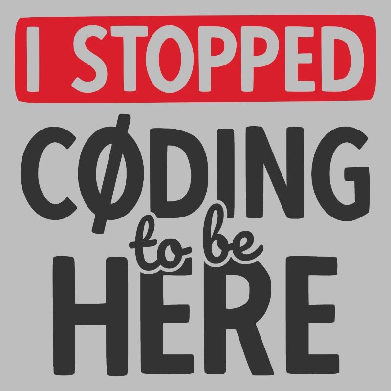 Software Ingenieur Informatiker Programmierer