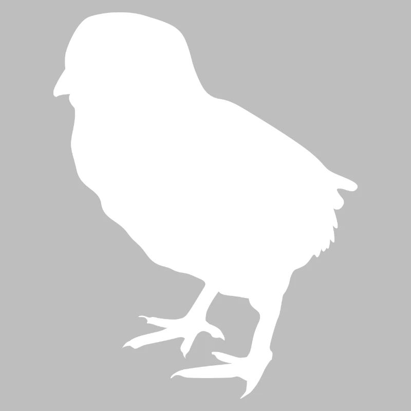 poussin