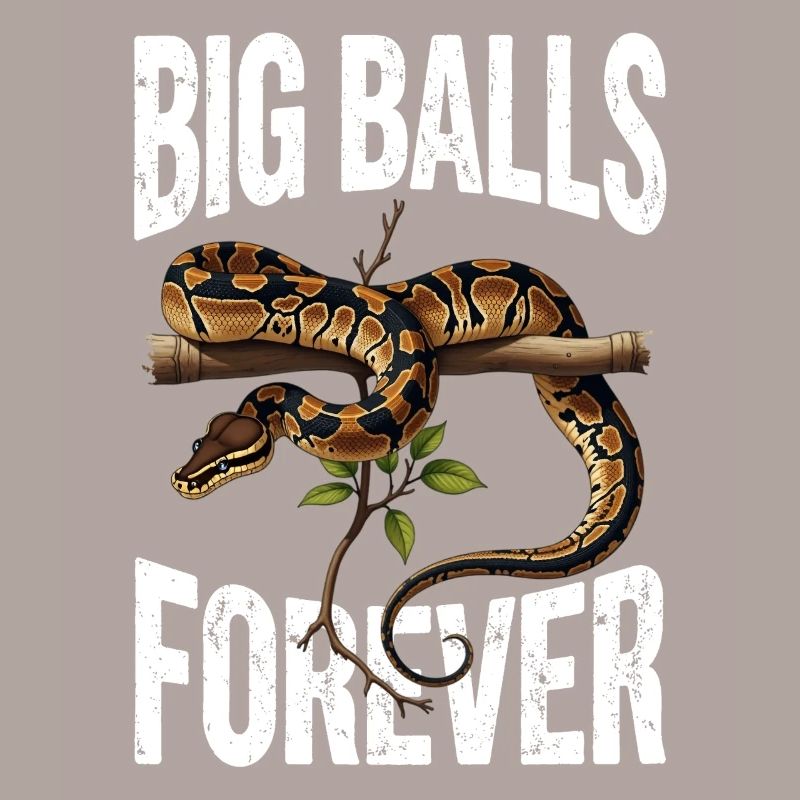 Königspython Schlangen Liebhaber Terrarium Python