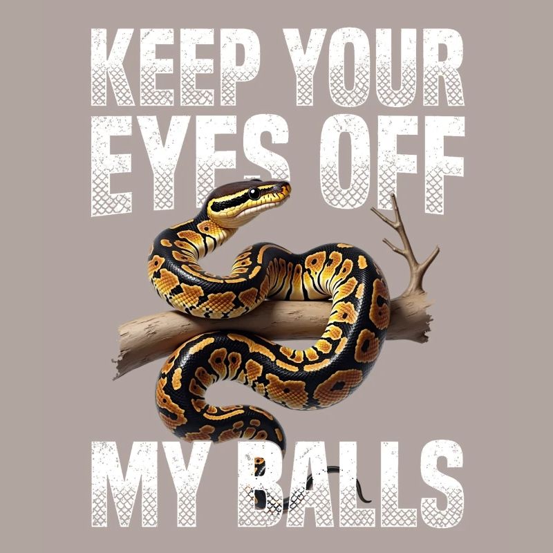 Python roi Serpents Amateurs de terrarium Python