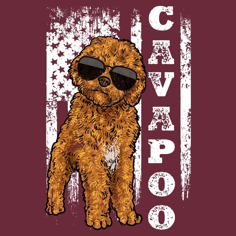 Cavapoo Cavoodle Capoodle Chien