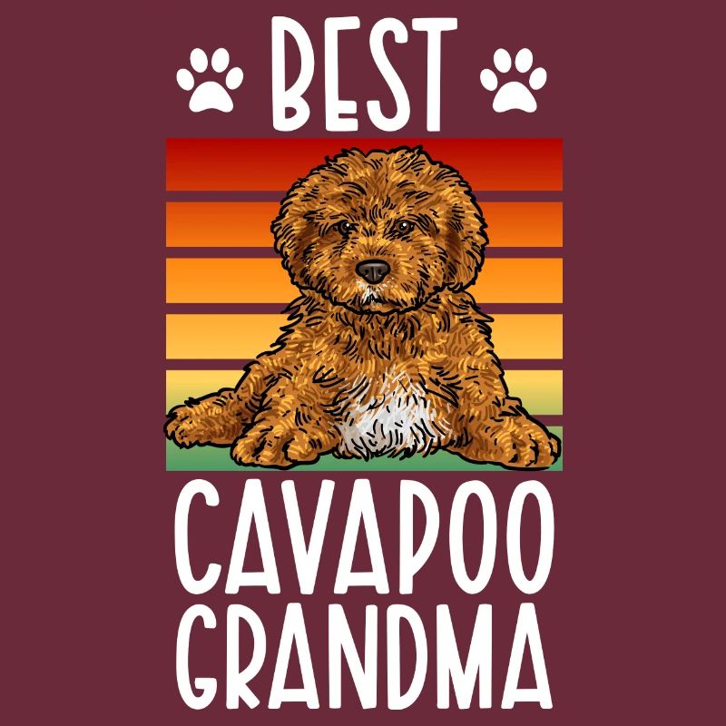 Cavapoo Cavoodle Capoodle Chien