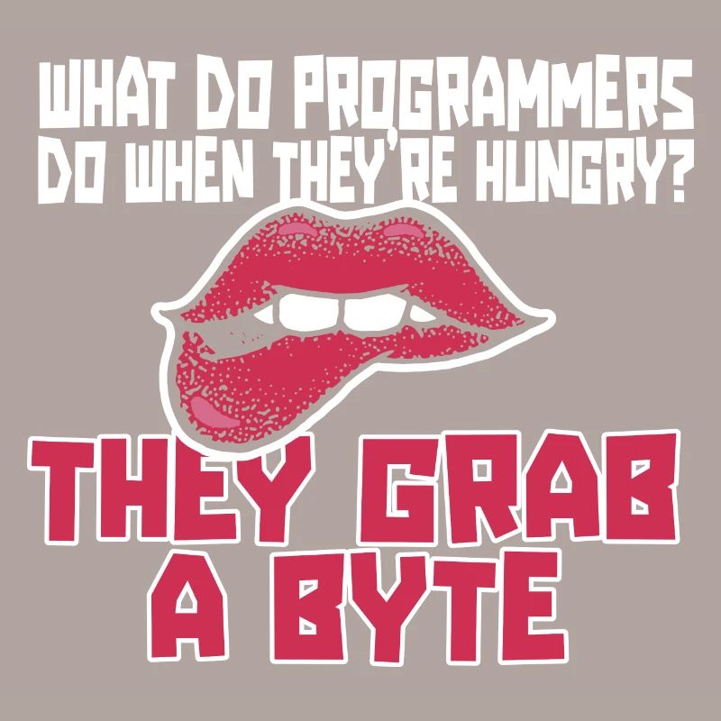 Programmeur Coder Développeur de logiciels