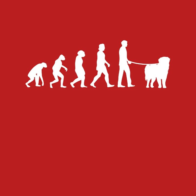 Évolution de Leonberger
