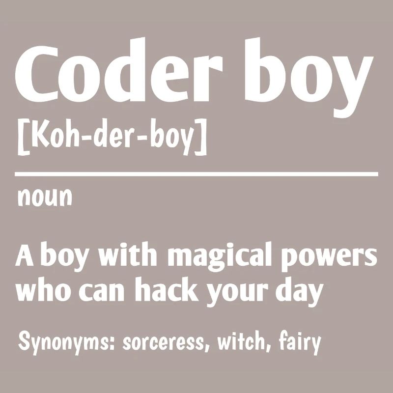Coder Boy Definition Noun Software Developer Progr