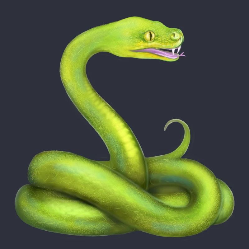 Der Grüne Python Schlange Dschungel Tier