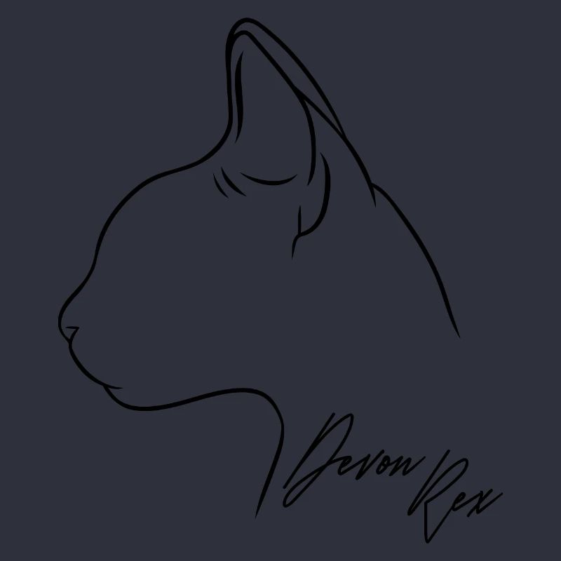 Devon Rex Profil Chat Chat Wilsigns