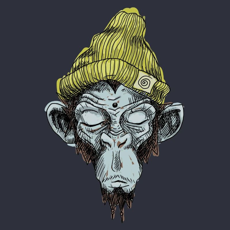 Monkey with hat