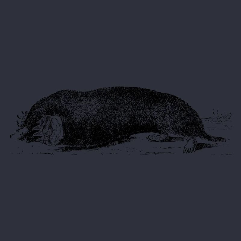 Mole