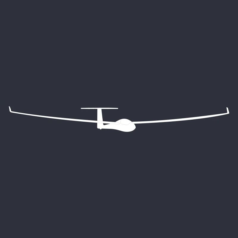 soaring pilot